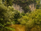 Čína 2011