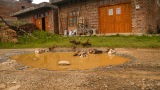 Čína 2011