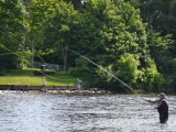 Skotsko 2012