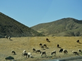 Maroko 2013