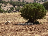 Maroko 2013