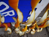 Maroko 2013