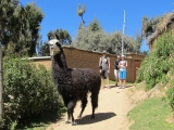 Peru a Bolívie 2013