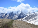 krz_1909