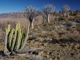 Namibia 2015