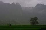 Laos_055