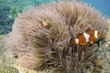 DCIM100GOPROGOPR0247.