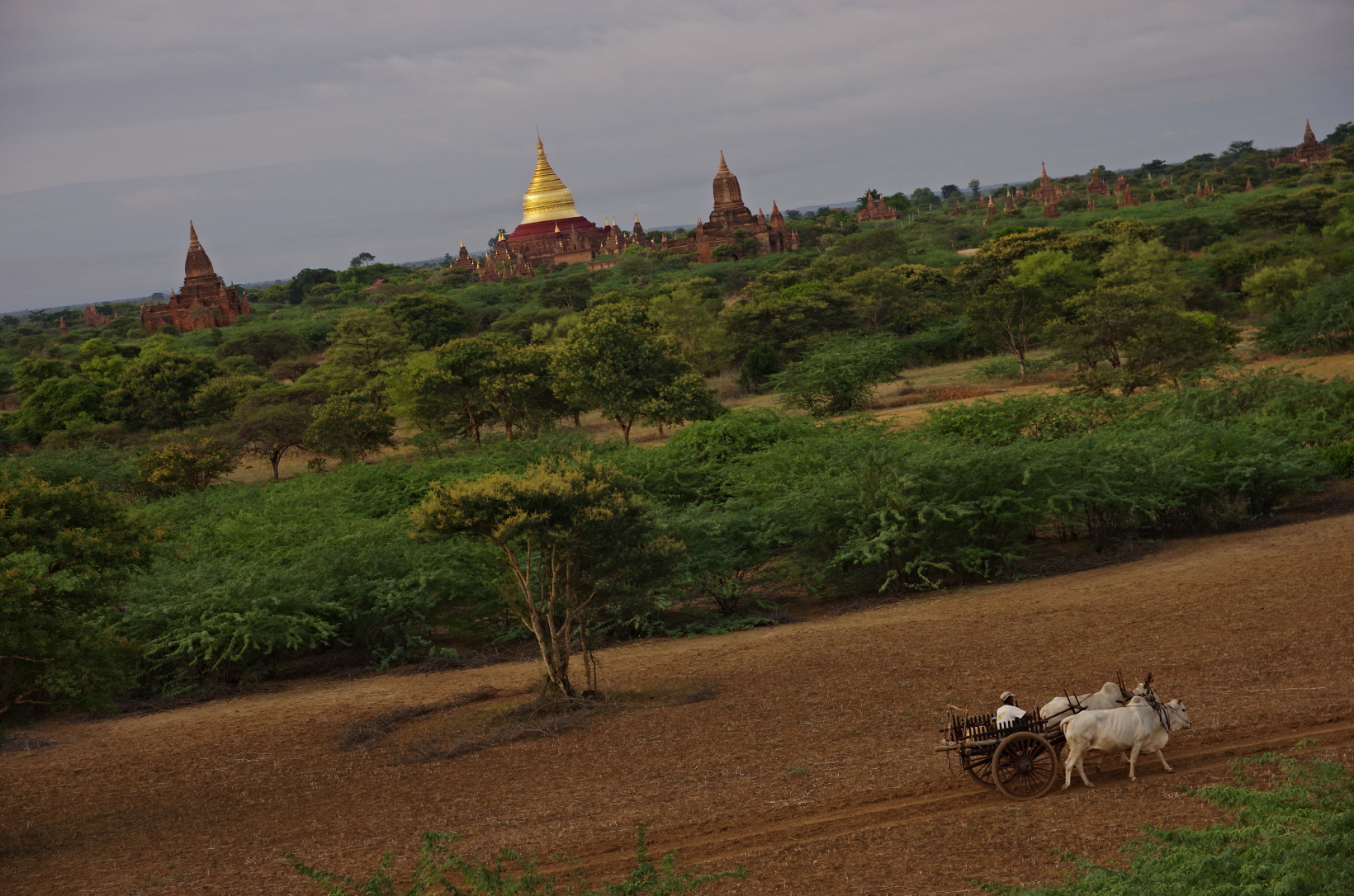 Myanmar_163