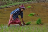 Myanmar_229