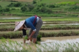 Myanmar_236