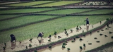 Myanmar_240