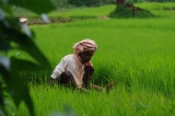 Myanmar_246
