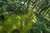 Japonsko_033