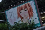 Japonsko_390