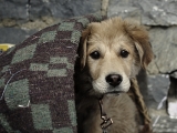 Nepal_289