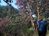 Nepal_471