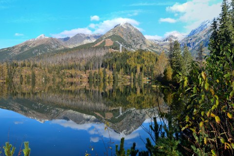 Featured image 1