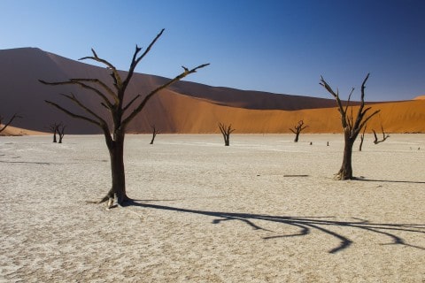Featured image 1