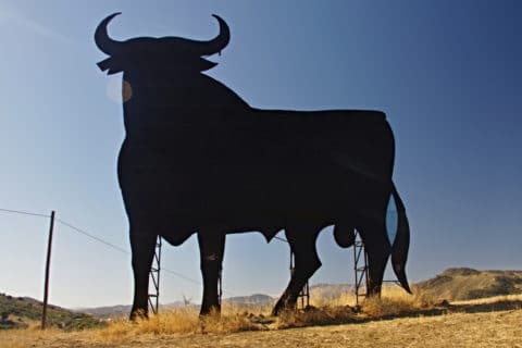 Featured image 1