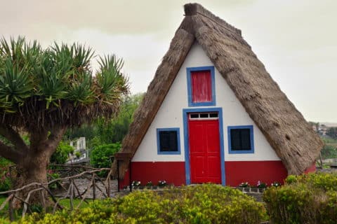 Featured image 1