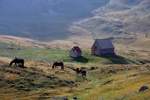 Featured image 1