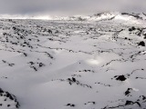 Island 2010