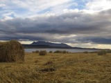Island 2010