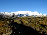 Island 2010
