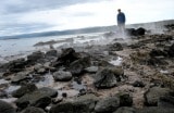 Island 2010