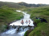 Island 2010