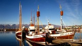 Island 2010