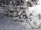 Island 2010