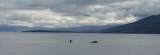 Island 2010