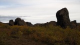 Island 2010