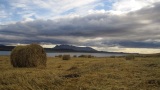 Island 2010