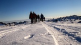 Island 2010