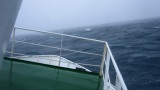 Island 2010