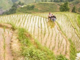Čína 2011