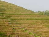 Čína 2011
