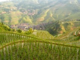 Čína 2011
