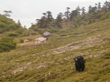 Čína 2011