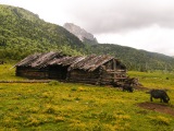 Čína 2011