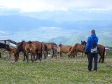 Čína 2011