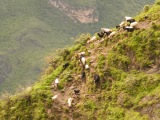 Čína 2011