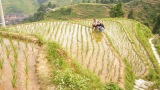 Čína 2011