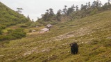 Čína 2011
