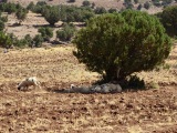 Maroko 2013