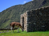 Peru a Bolívie 2013