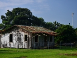 Havaj 2014