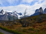 Patagonie 2014